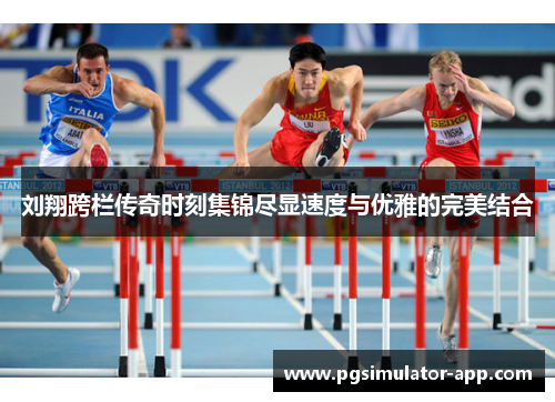 刘翔跨栏传奇时刻集锦尽显速度与优雅的完美结合