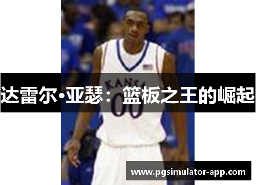 达雷尔·亚瑟：篮板之王的崛起