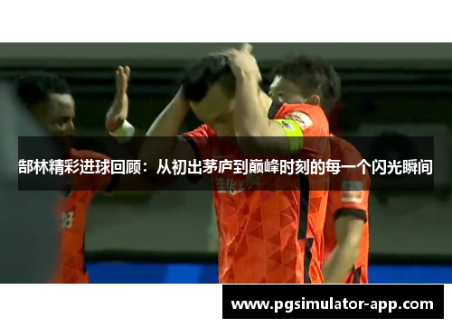 郜林精彩进球回顾：从初出茅庐到巅峰时刻的每一个闪光瞬间
